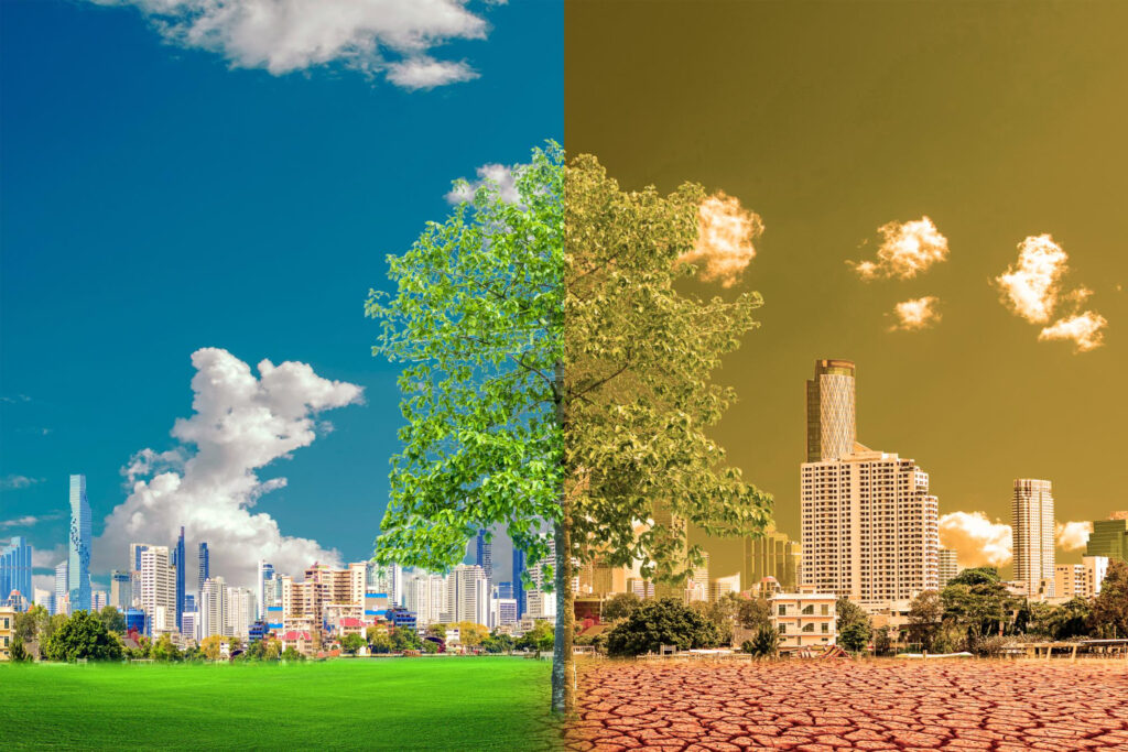 Farmland vs Real Estate