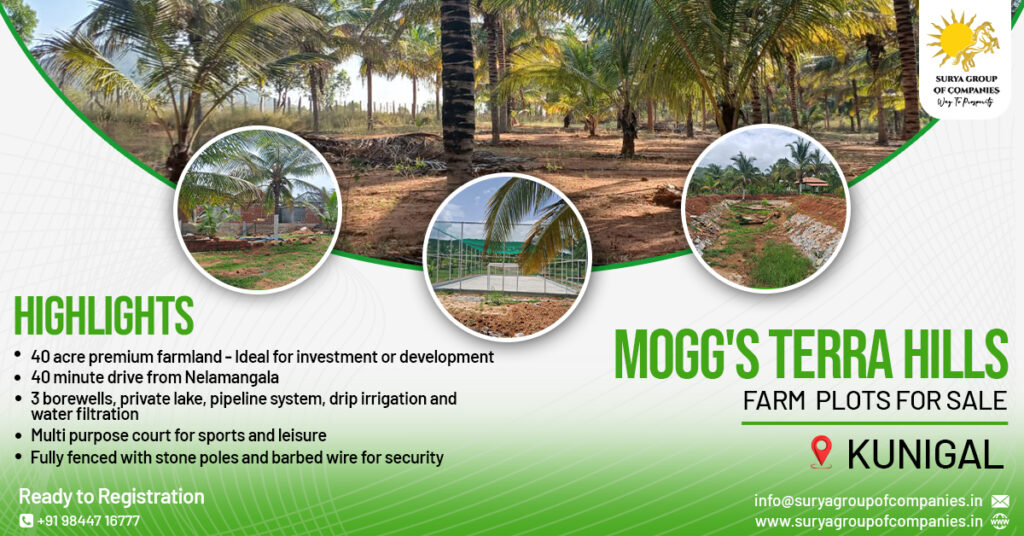 invest in moggs terra hills farmland